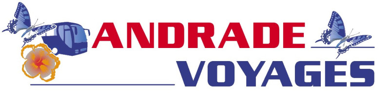 A picture of this transfer company's vehicle