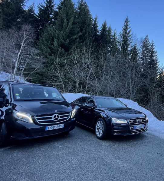 A picture of this transfer company's vehicle