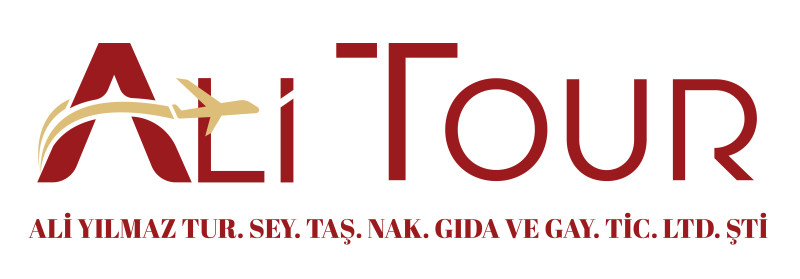 A picture of this transfer company's vehicle