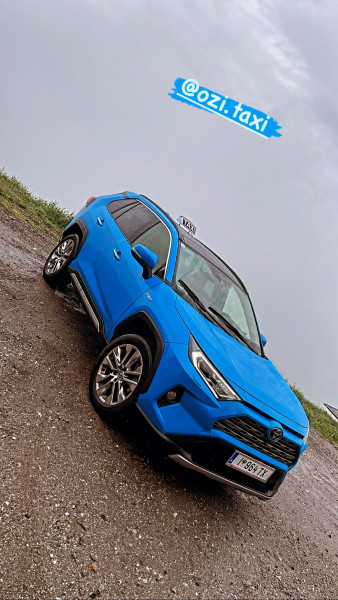 A picture of this transfer company's vehicle