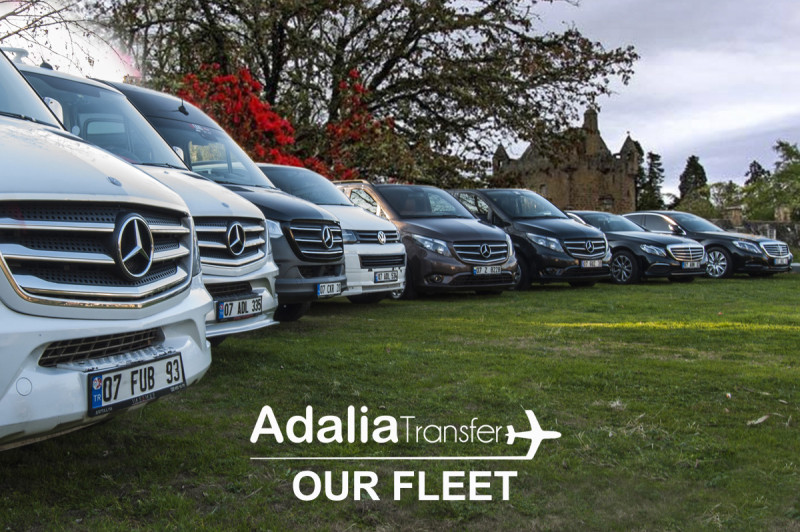 A picture of this transfer company's vehicle