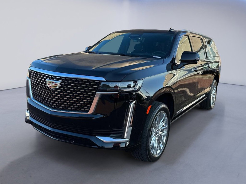 A picture of this transfer company's vehicle