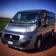 A picture of this transfer company's vehicle